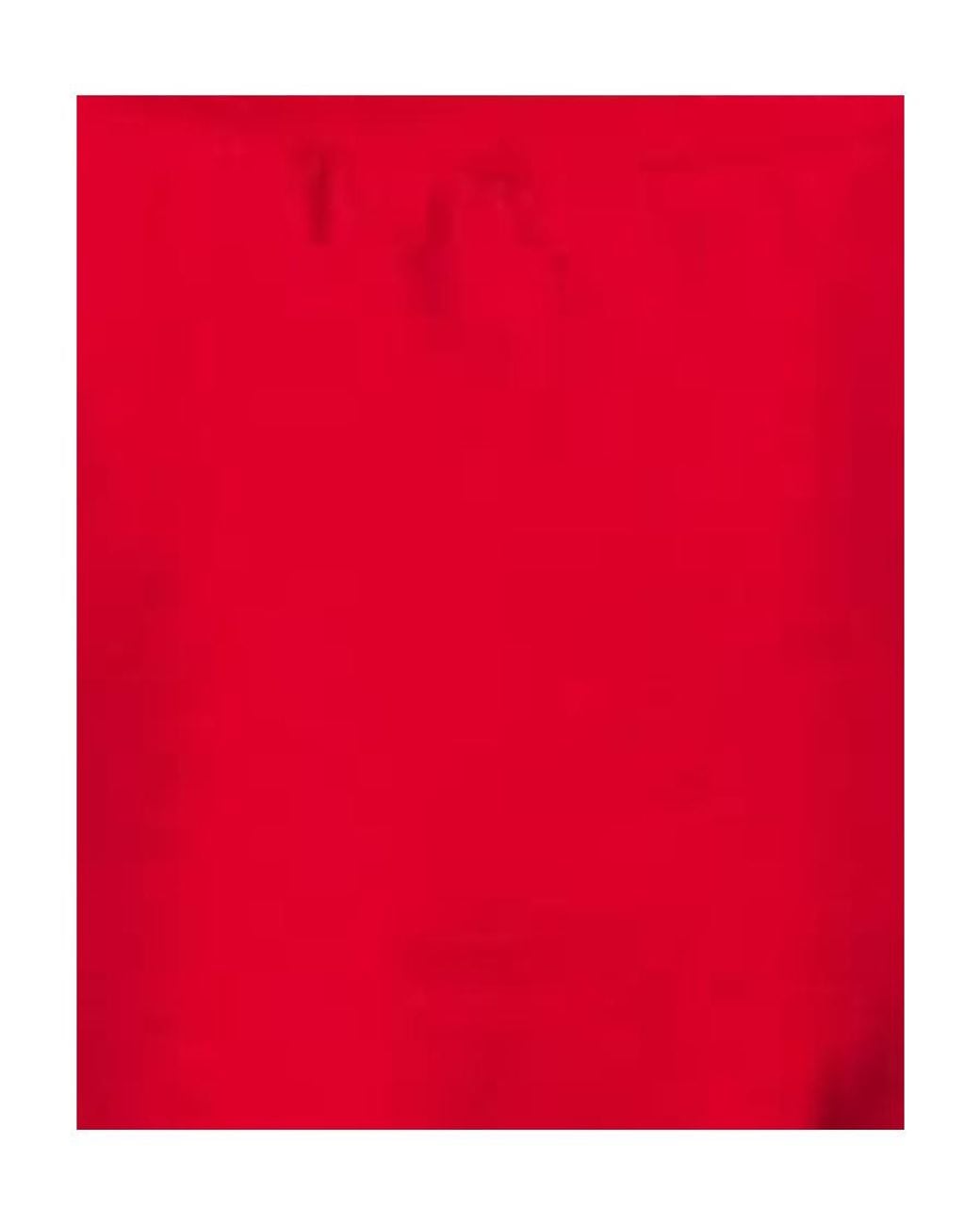 Moschino Red Badge Printed T-Shirt