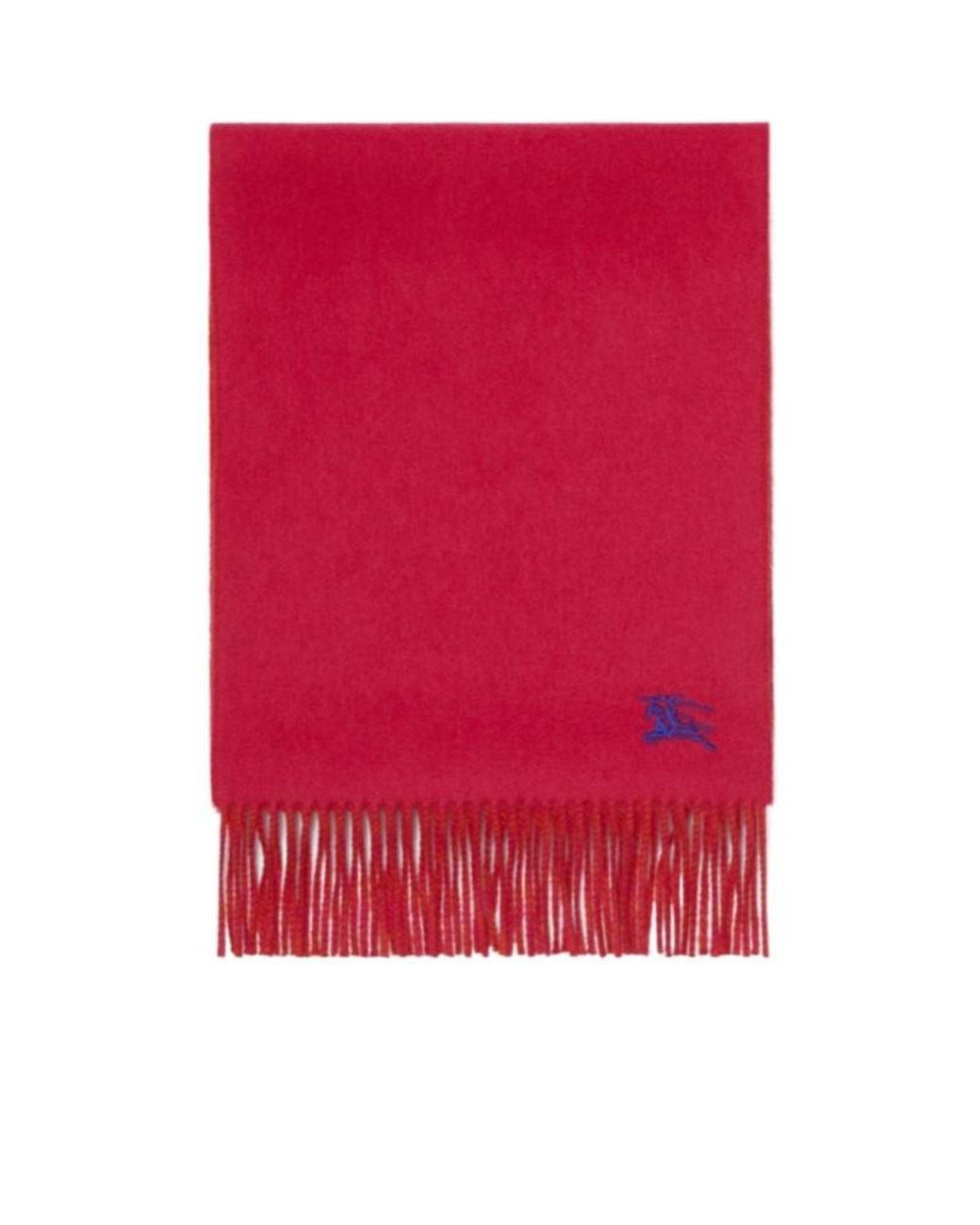 Burberry Ekd Embroidered Fringed Reversible Scarf for men