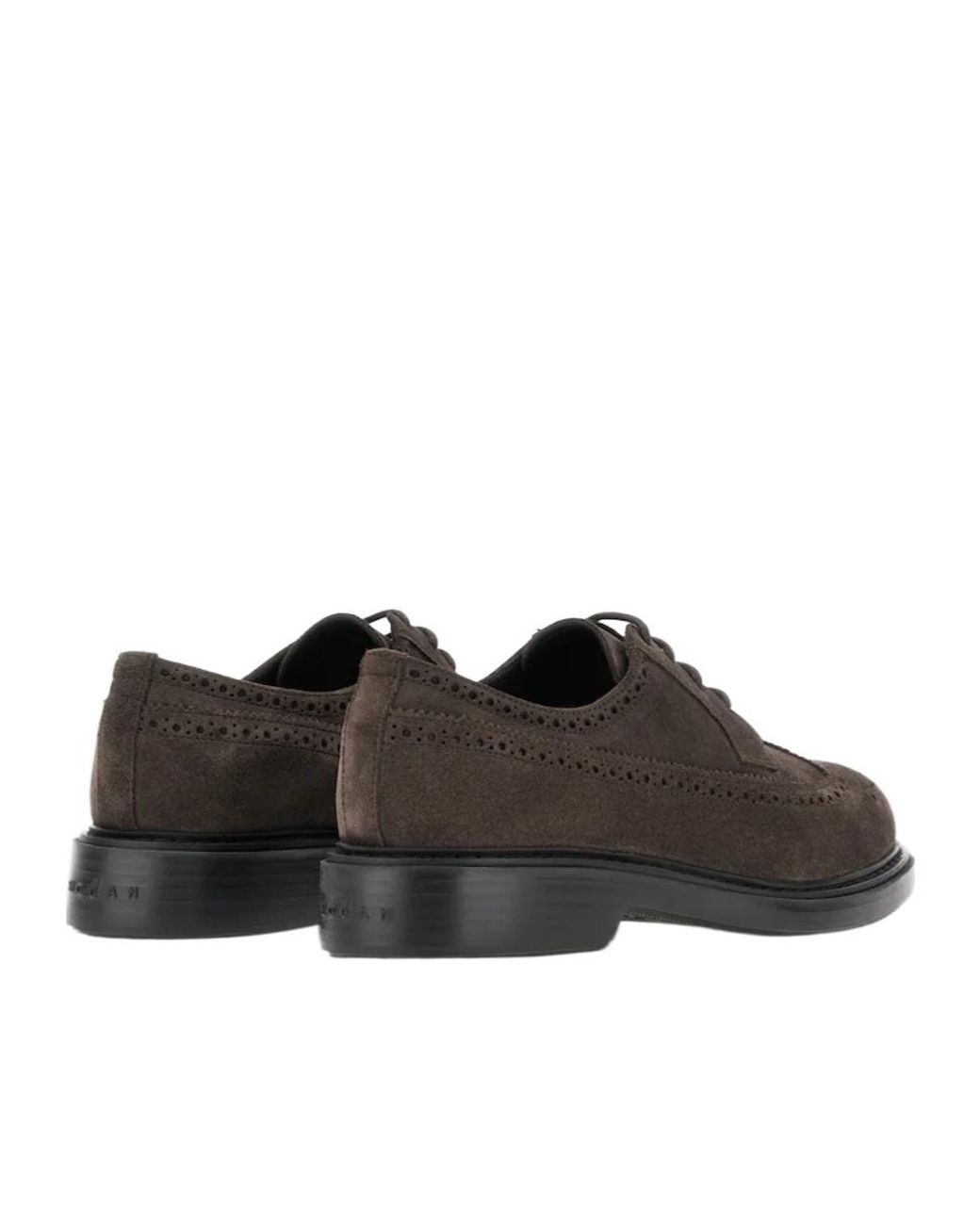 Hogan Brown H704 Brogue Derby Shoes for men