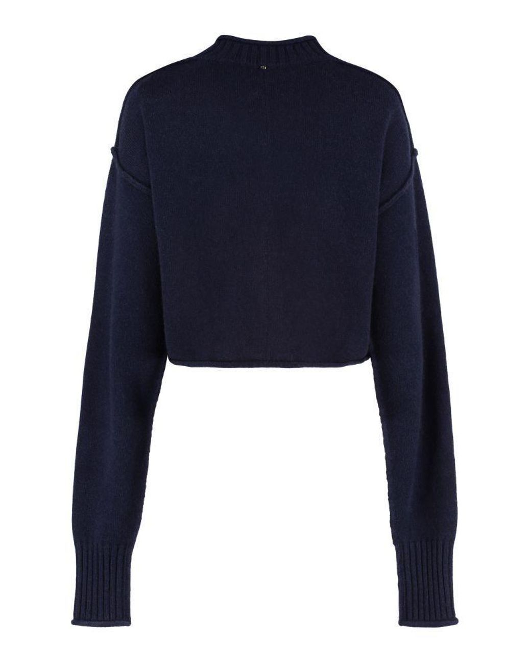 Sportmax Blue Crewneck Long-Sleeved Jumper