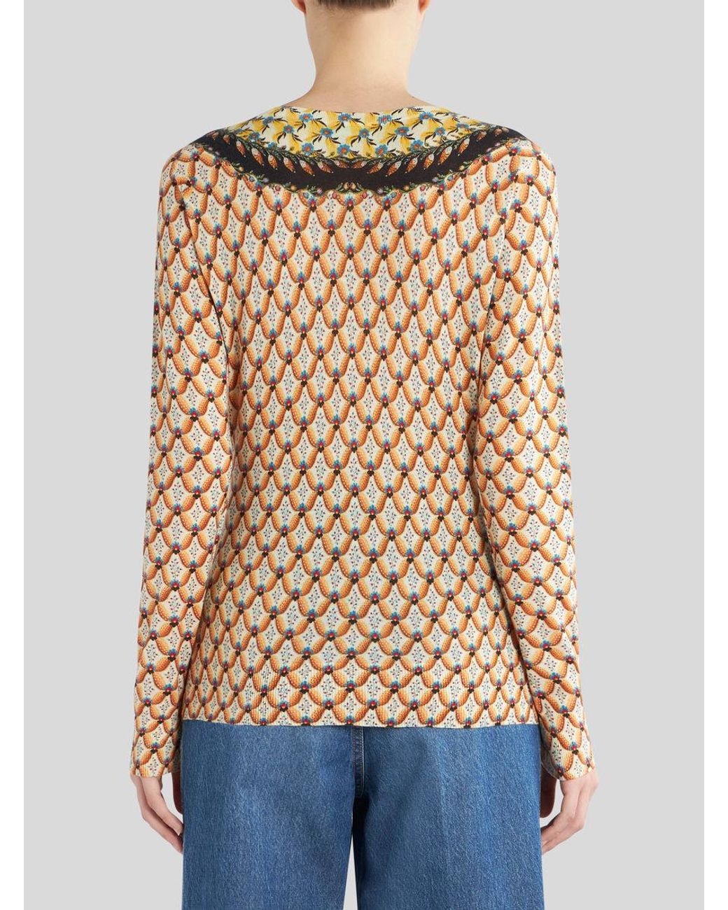 Etro Brown Floral-Printed Crewneck Knitted Top