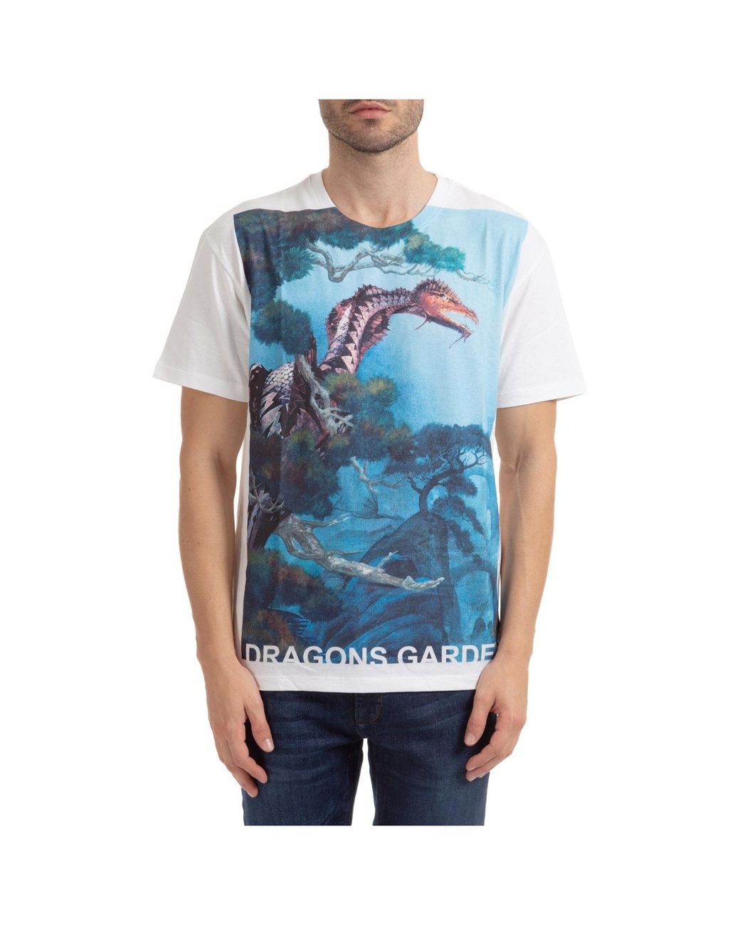 Valentino Blue Dragons Garden Print T-Shirt for men