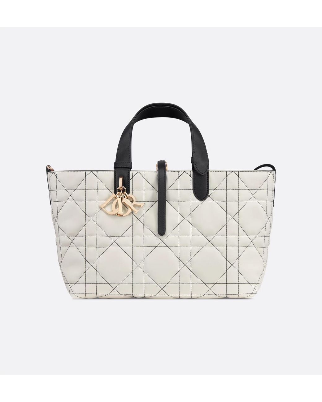 Dior Metallic Medium Toujours Bag