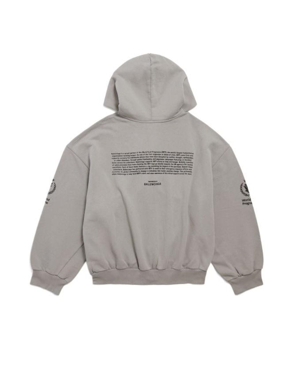 Balenciaga Gray Wfp Regular Zip-Up Hoodie for men