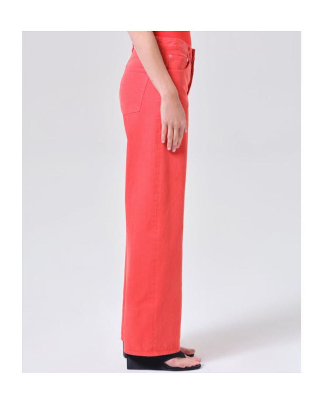 Agolde Red Arc Wide-Leg Jeans