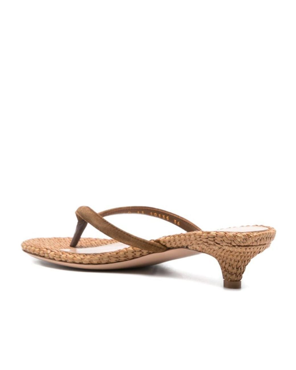 Gianvito Rossi Brown Calypso Thong Strap Sandals