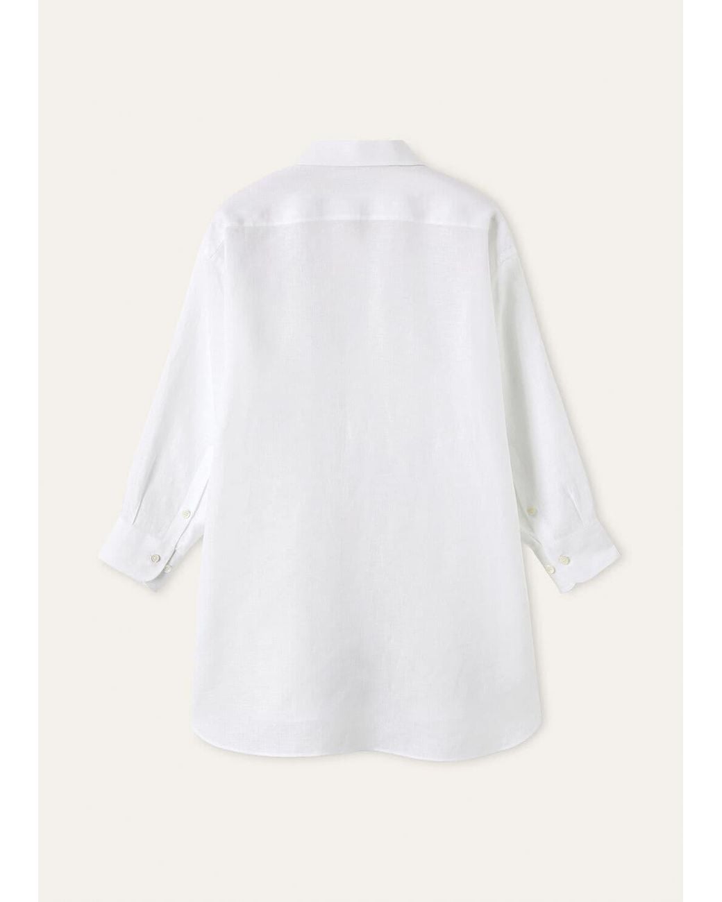 Loro Piana White Collared Shirt
