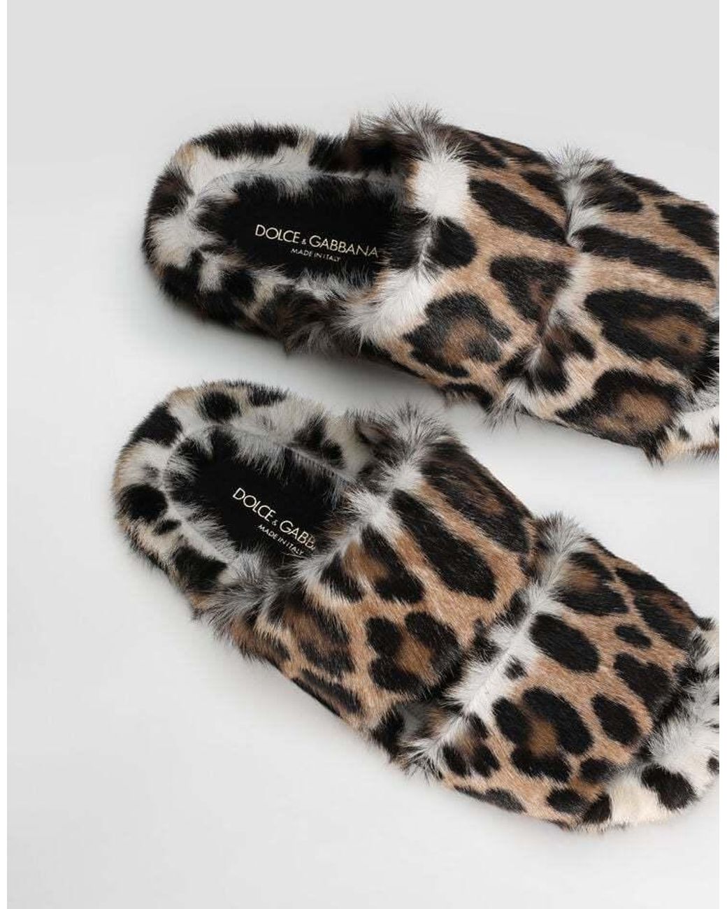 Dolce & Gabbana Brown Leopard Printed Slides