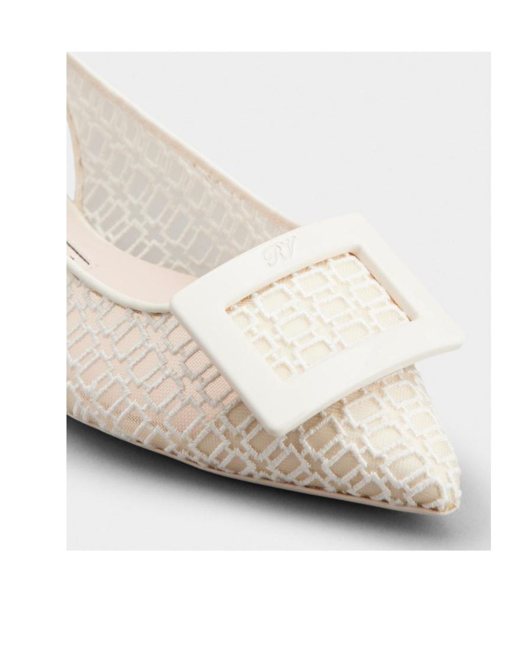 Roger Vivier Natural Pointed-Toe Ballet Flats