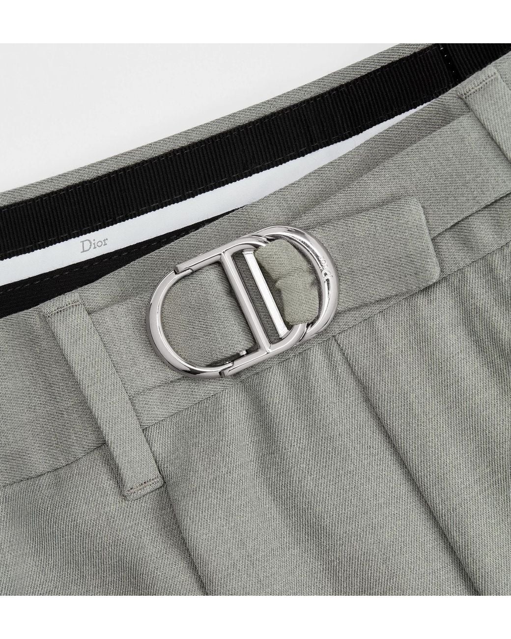 Dior Gray Pleated Tailored Pants for men