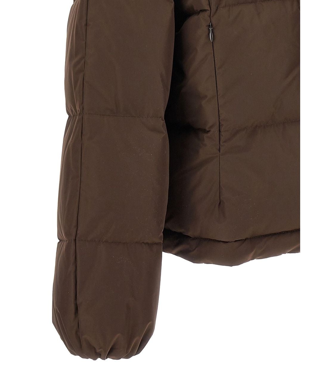 Dolce & Gabbana Brown Logo-Plaque Padded Jacket