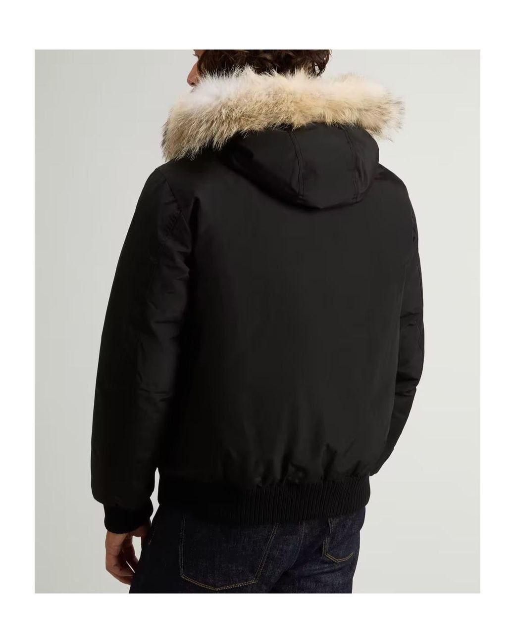 Woolrich Blue Polar Hooded Bomber Jacket for men
