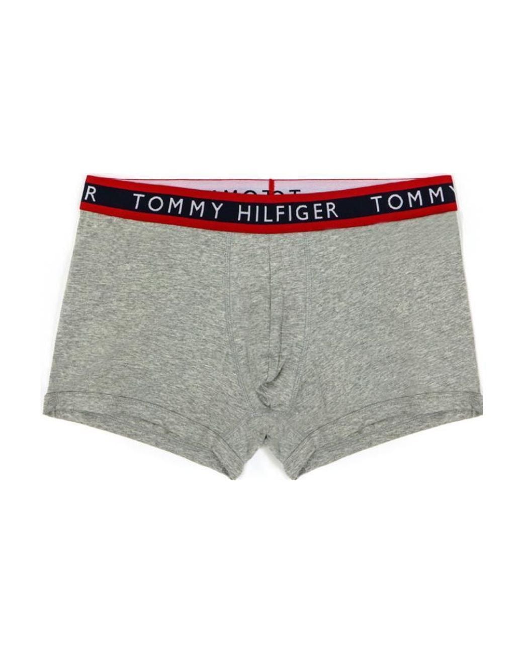 Tommy Hilfiger Gray Collision Color Logo Panties for men