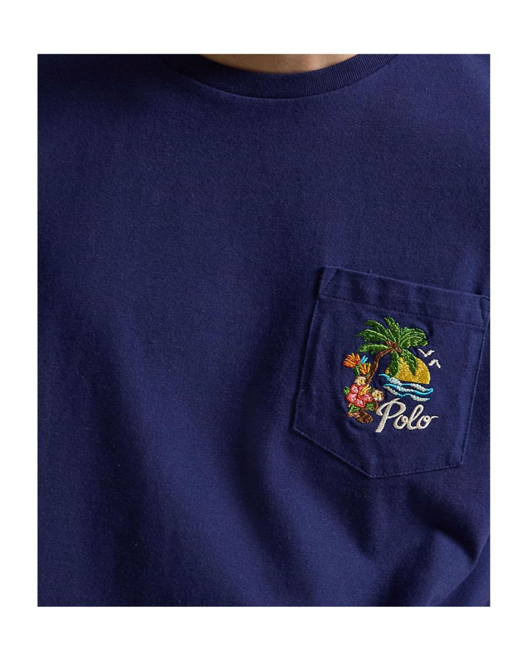 Polo Ralph Lauren Blue Tropical Back-Print T-Shirt for men
