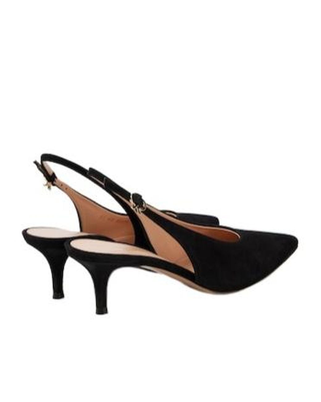 Gianvito Rossi Multicolor Solid Suede Slingback Pumps