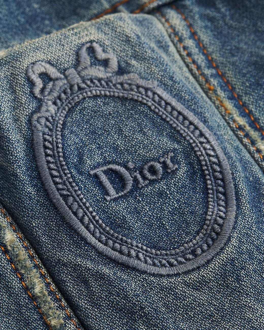 Dior Médaillon Hooded Jacket in Blue | Lyst