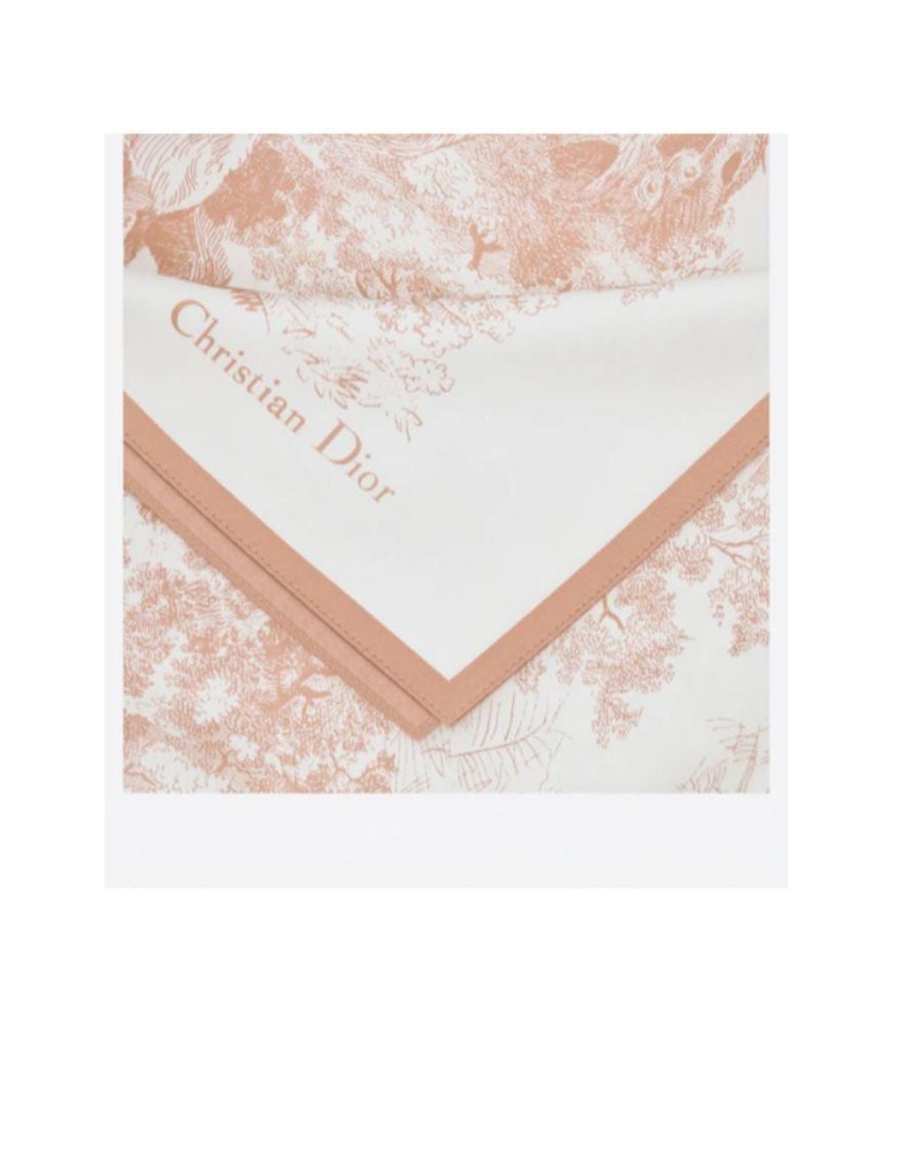 Dior Pink Toile De Jouy Sauvage Hat