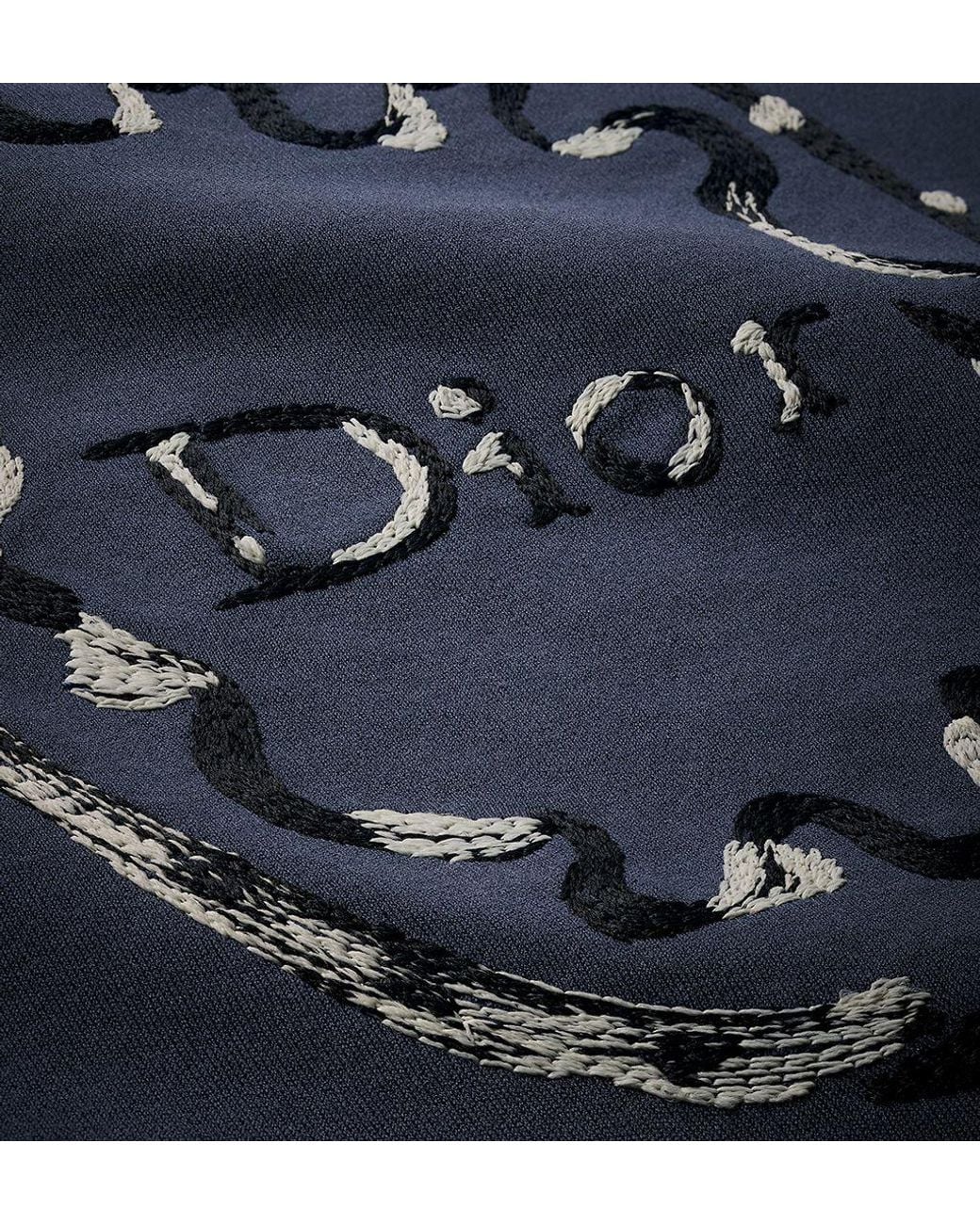 Dior Blue Fitted T-Shirt