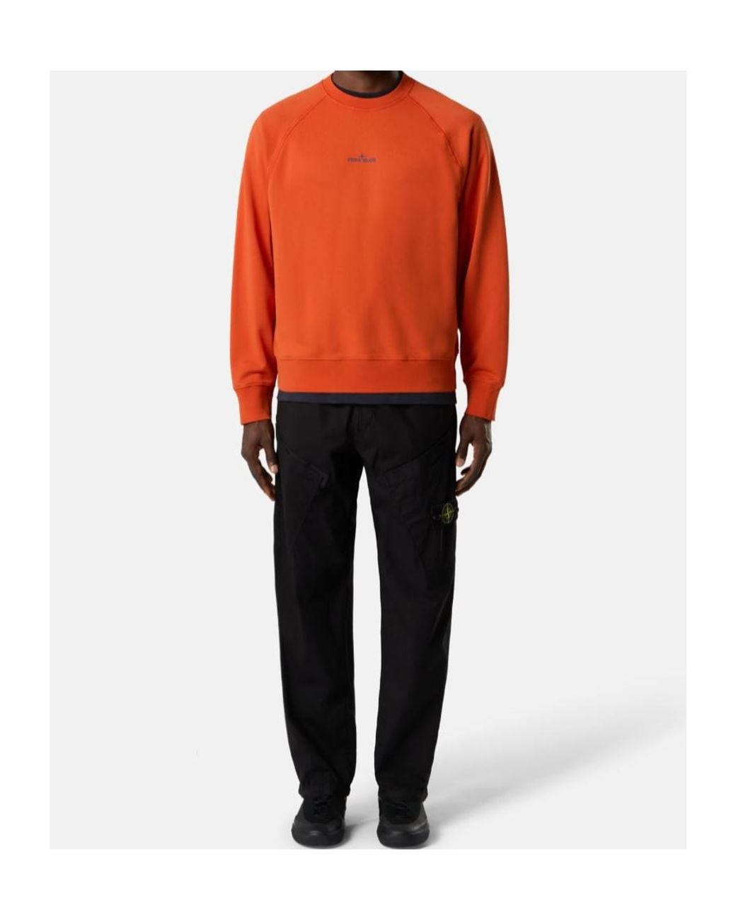 Stone Island Orange Oversized-Fit Crewneck Sweatshirt With 'Desert'Print for men