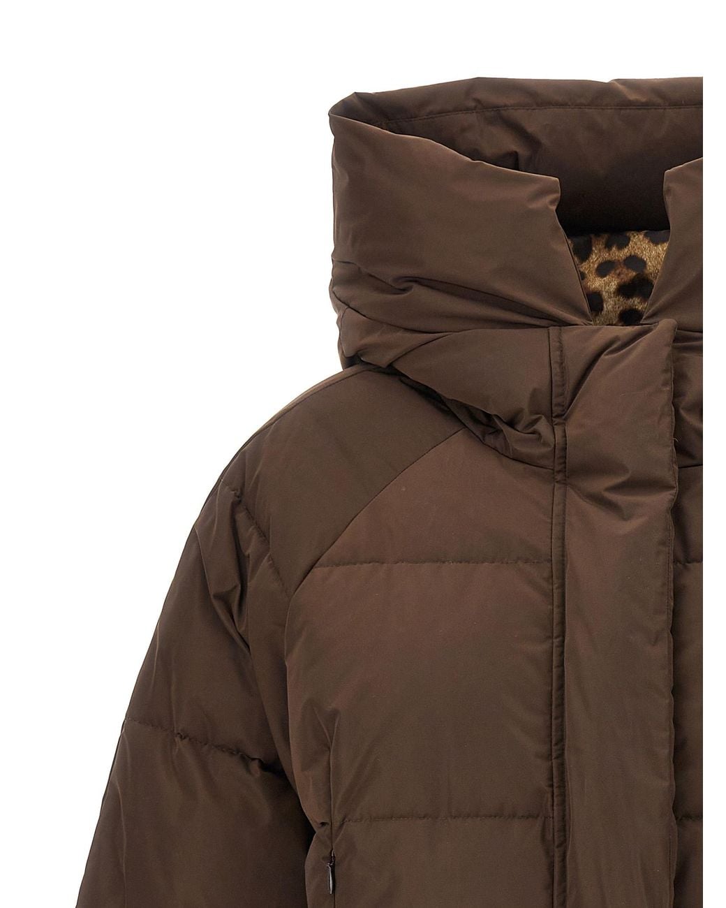 Dolce & Gabbana Brown Logo-Plaque Padded Jacket