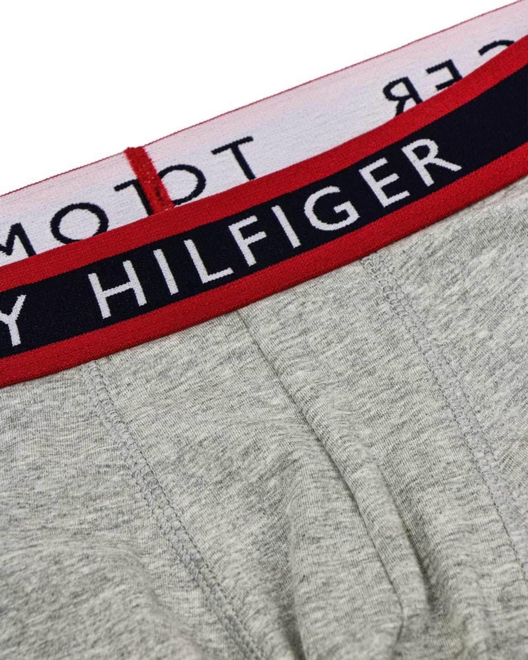Tommy Hilfiger Gray Collision Color Logo Panties for men