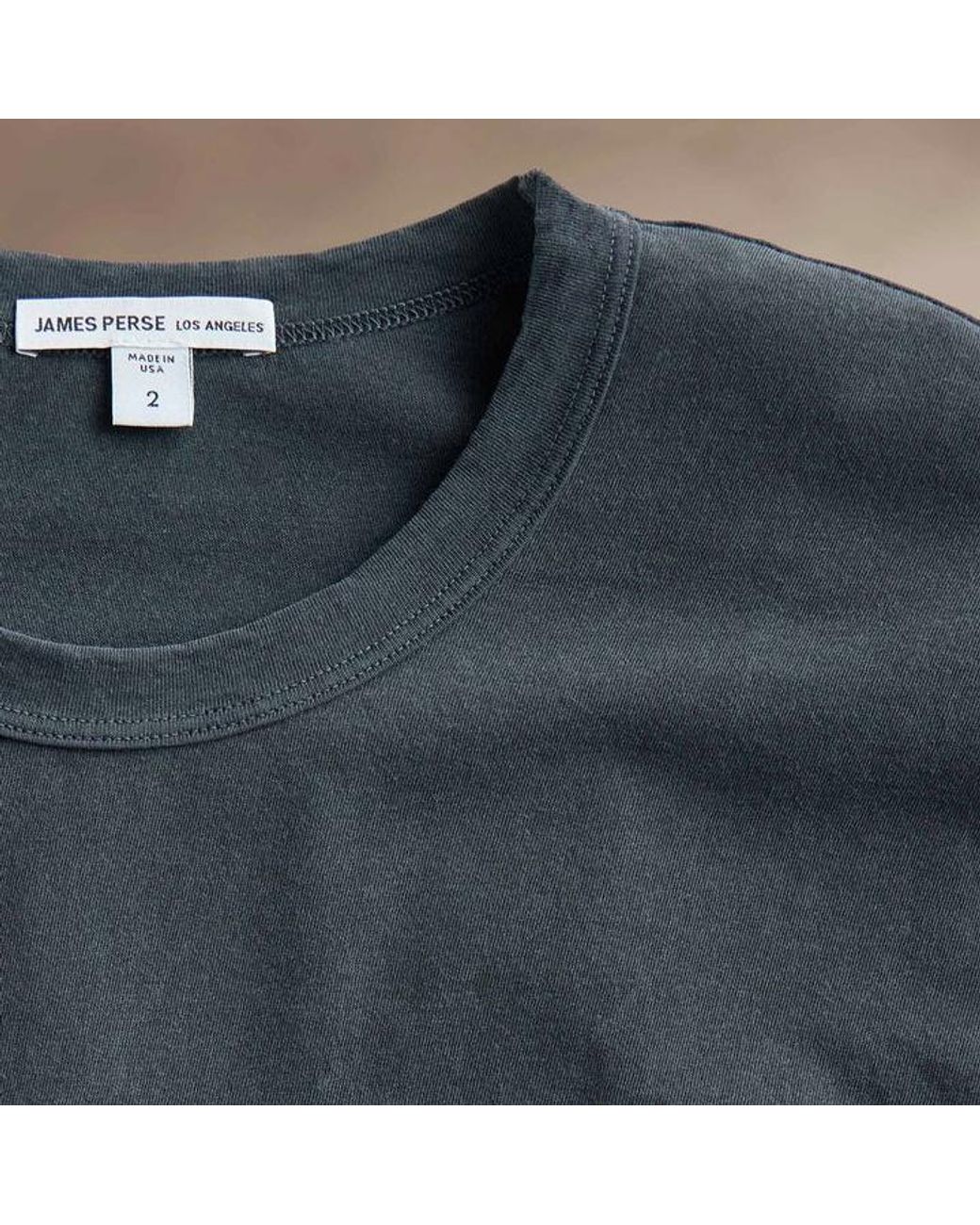 James Perse Blue Crew Neck T-Shirt for men