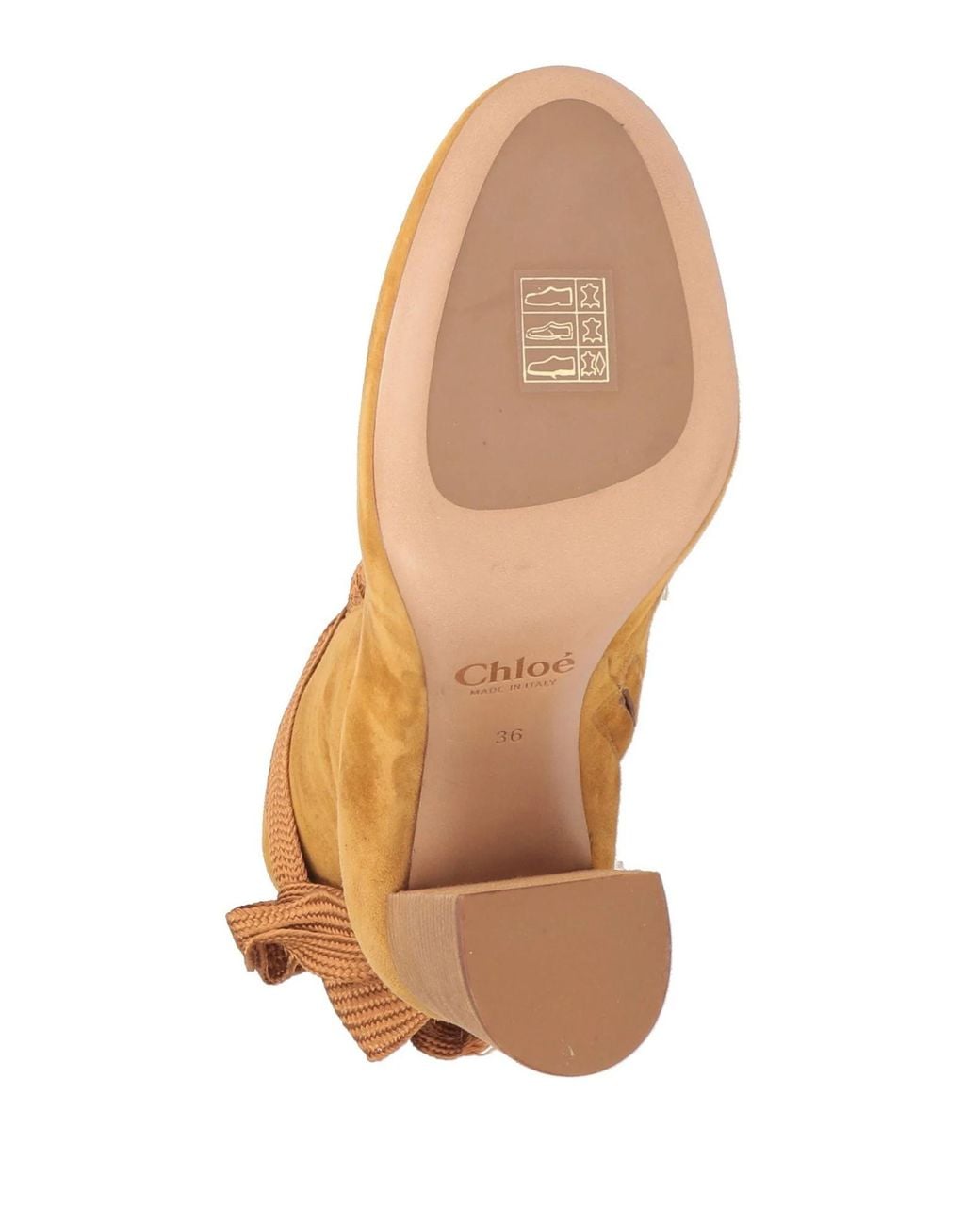 Chloé Brown Minimalist Lace-Up Ankle Boots