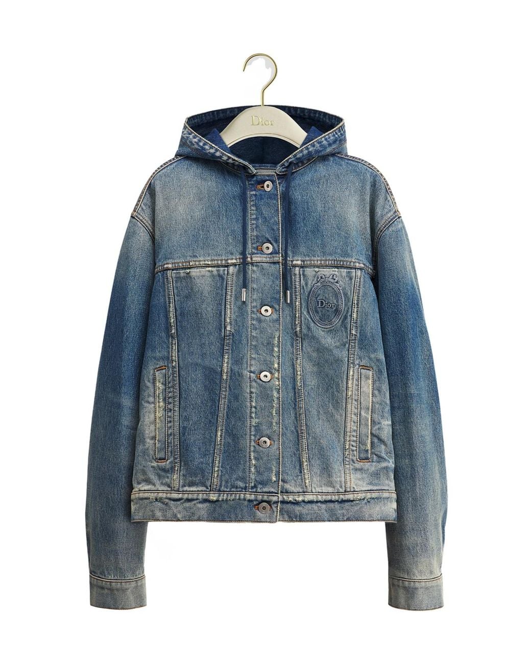 Dior Médaillon Hooded Jacket in Blue | Lyst
