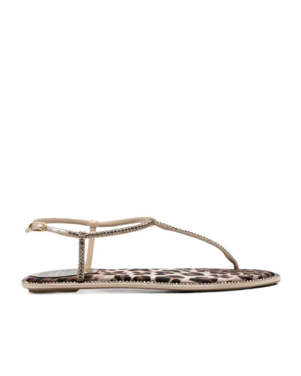 Rene Caovilla Brown Crystal-Embellished Leopard-Print Sandals