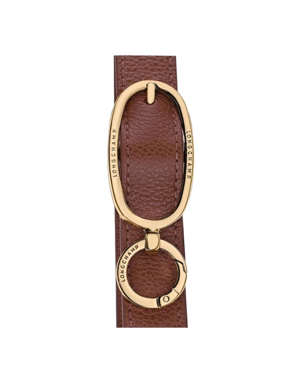 Longchamp Brown Le Foulonné Hobo Bag
