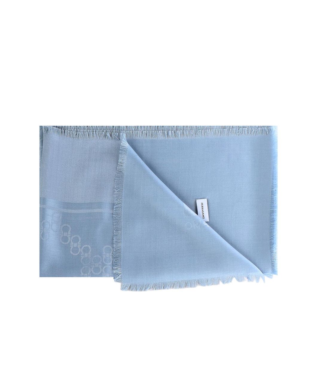Ferragamo Blue Ferragamo Logo Detail Fringed Scarf