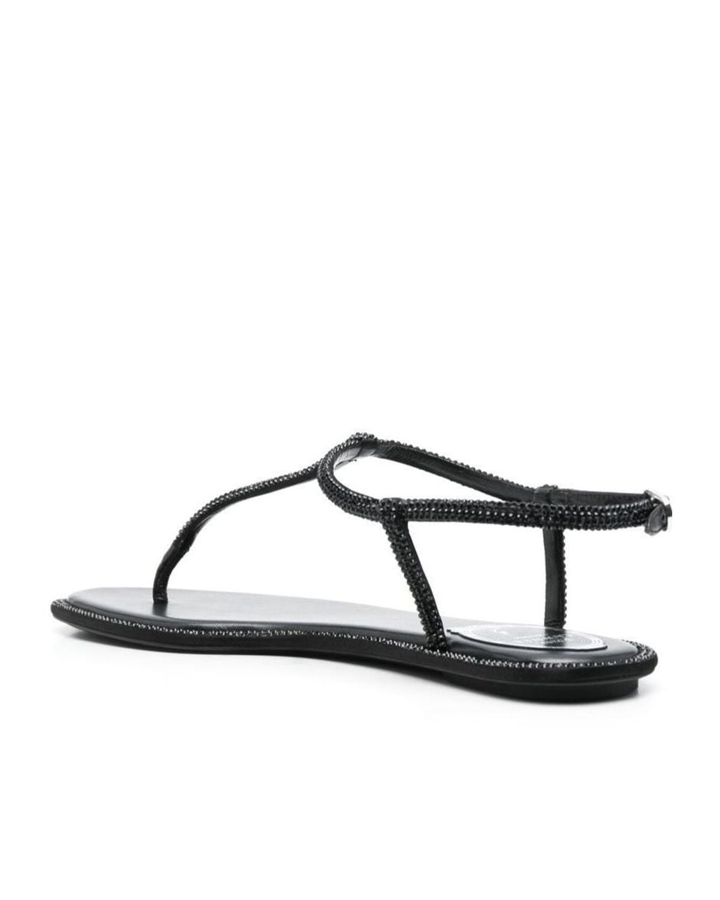 Rene Caovilla Brown René Caovilla Diana Embellished Thong Sandals