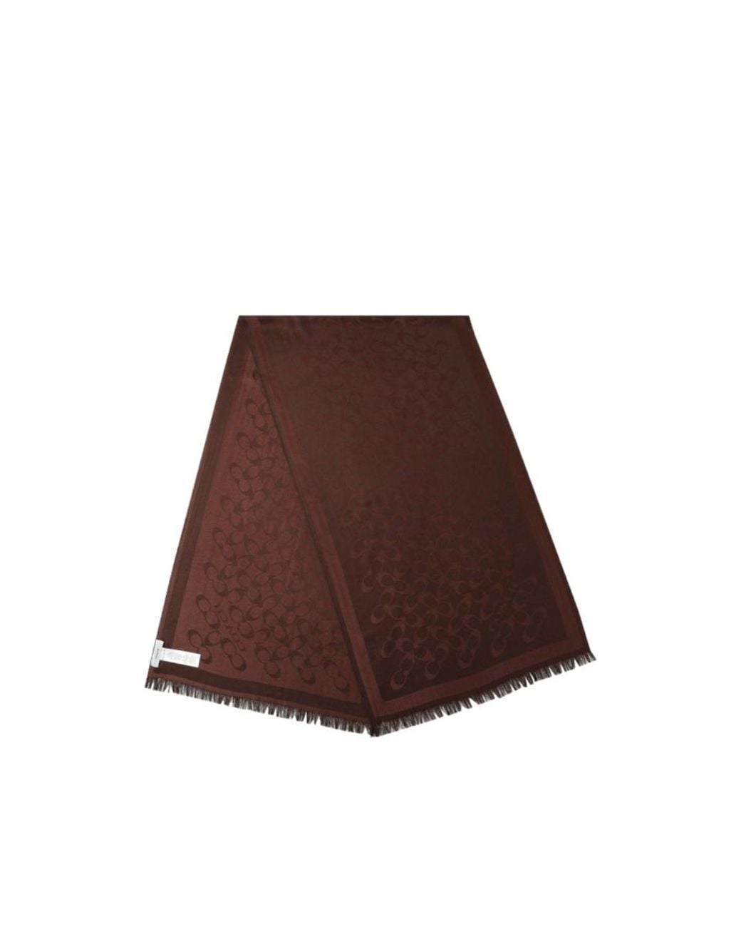 COACH Brown Tasseled Scarf