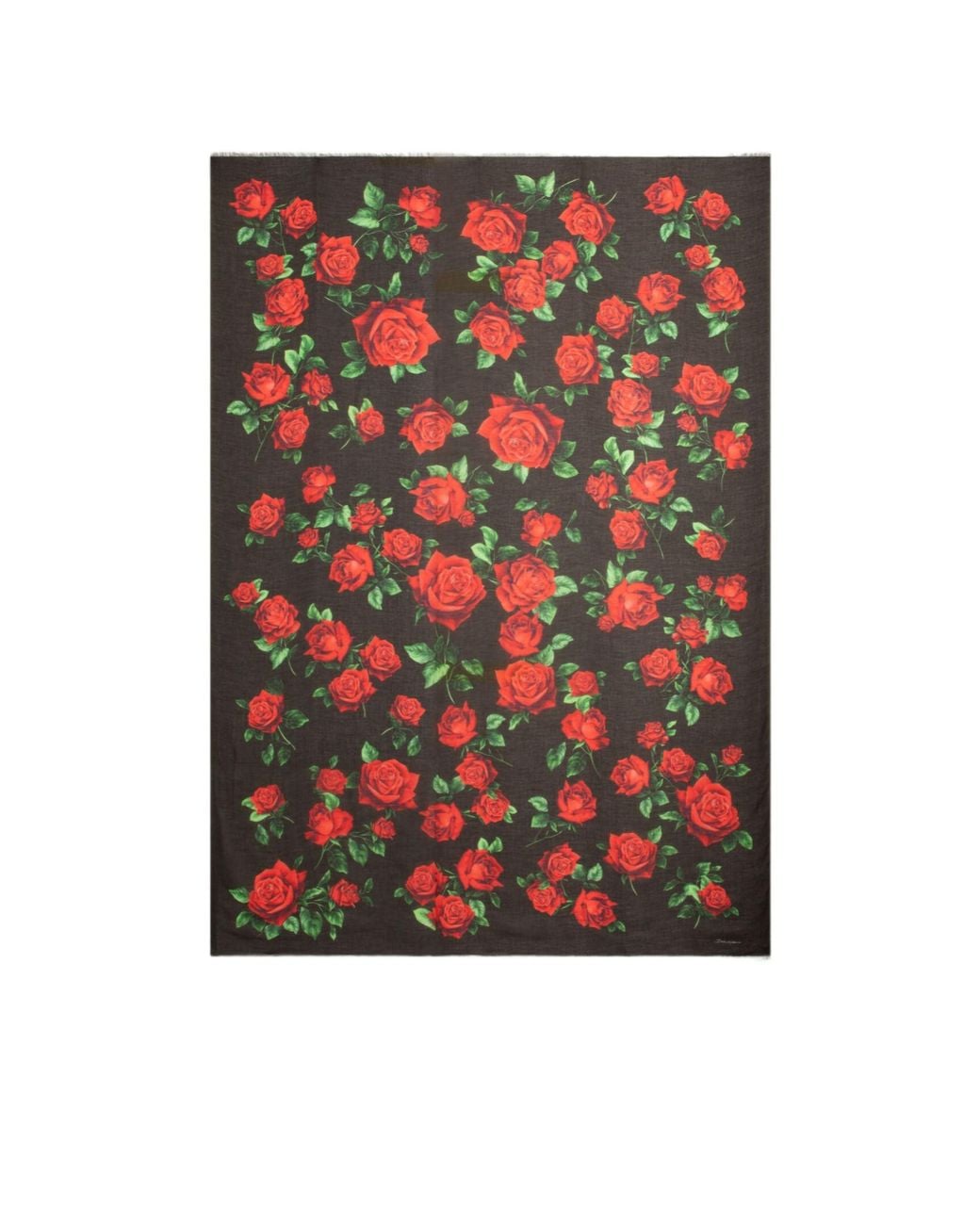 Dolce & Gabbana Black Rose Print Fringed Scarf