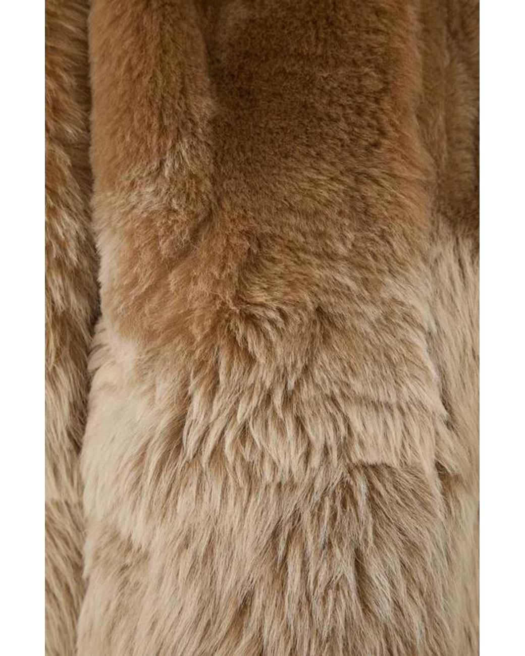 Loewe Brown Jacket