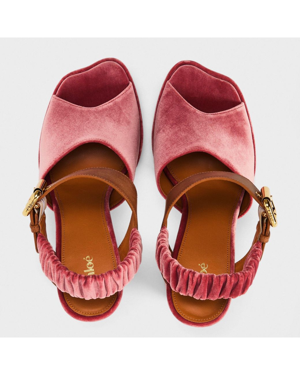 Chloé Pink Paddington Platform High-Heeled Sandals