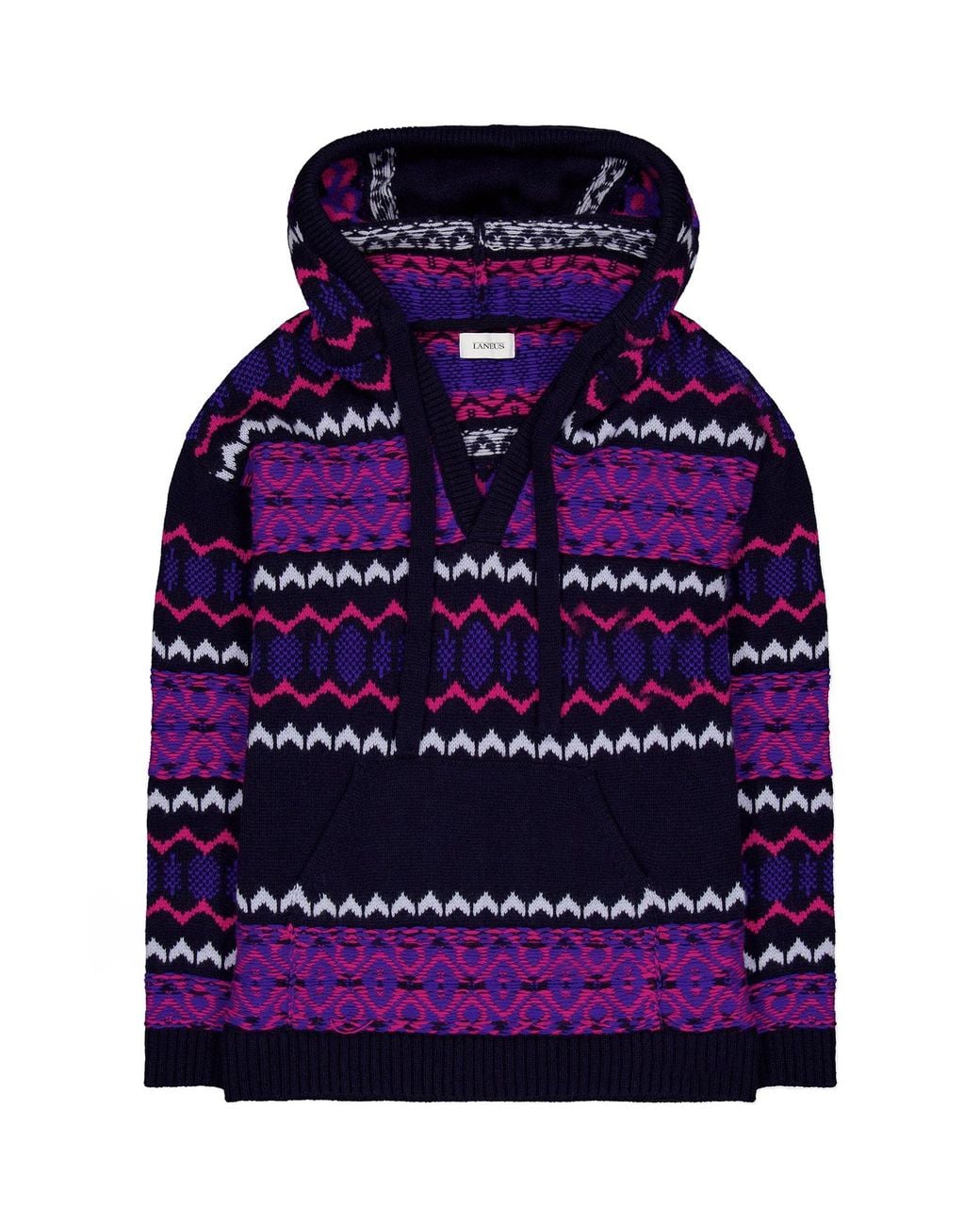 Laneus Purple Hooded Sweater for men