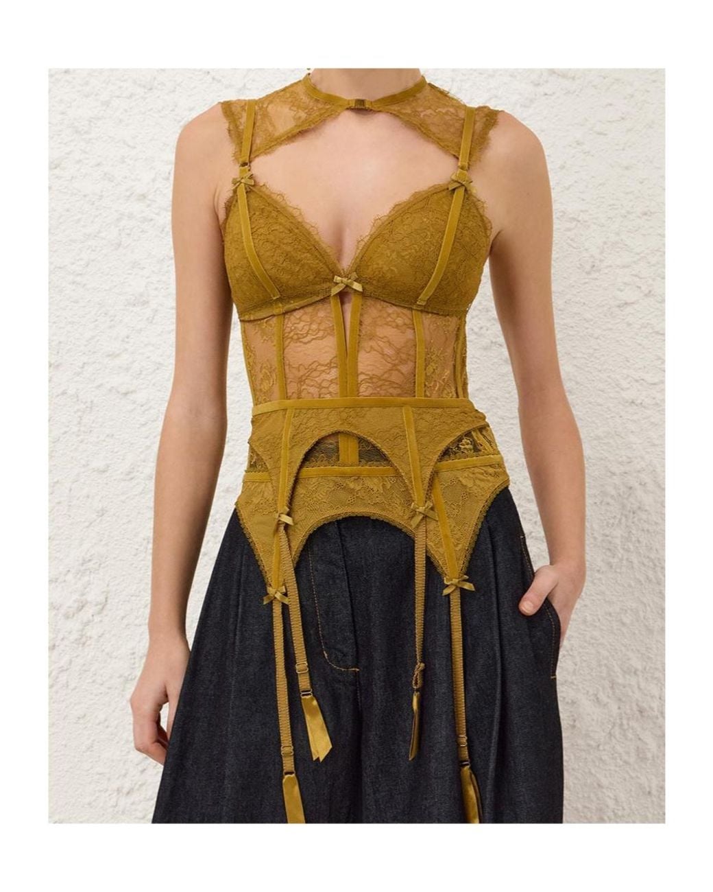 Zimmermann Metallic Valiant Lingerie Bodice