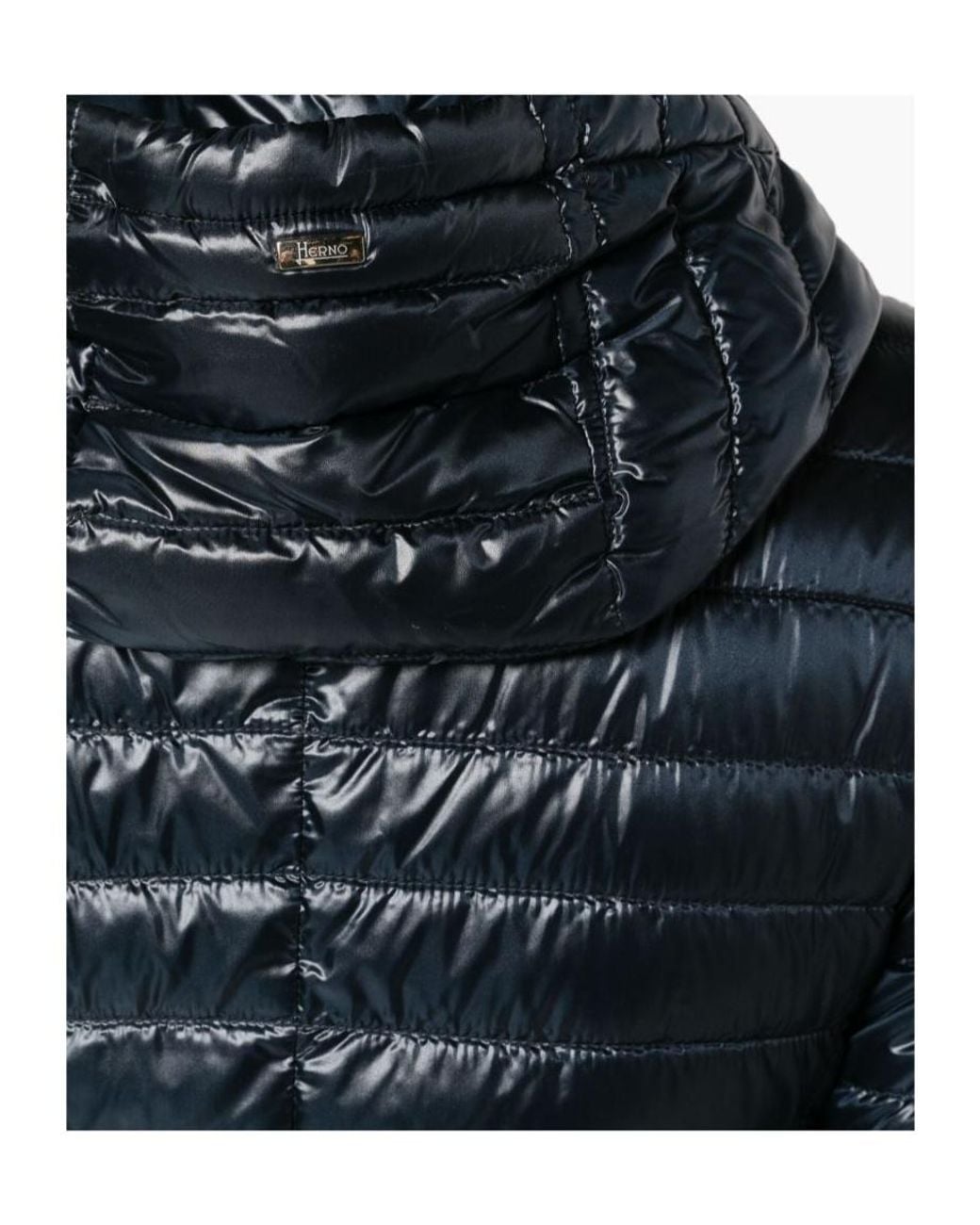 Herno Blue Down Jackets