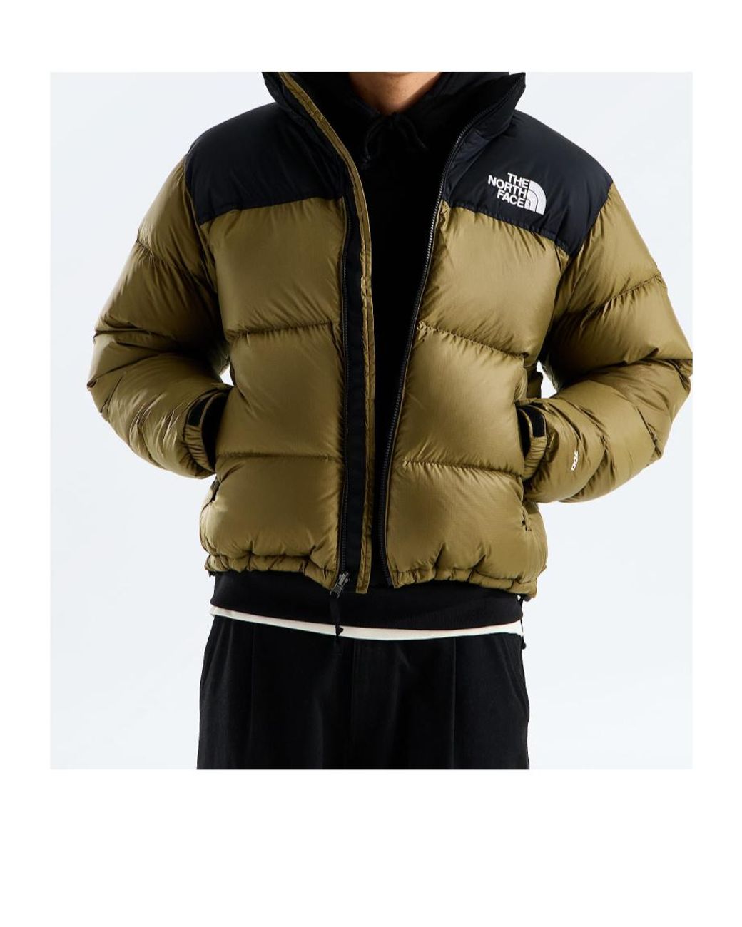 The North Face Green 1996 Retro Nuptse Two-Tone Padded Jacket for men