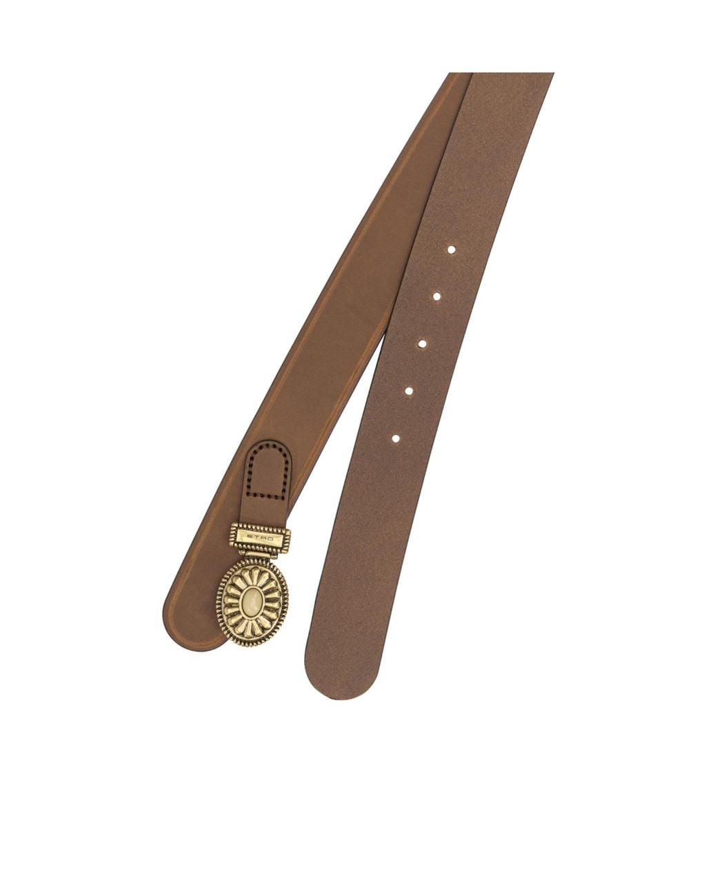 Etro Brown Adjustable Strap