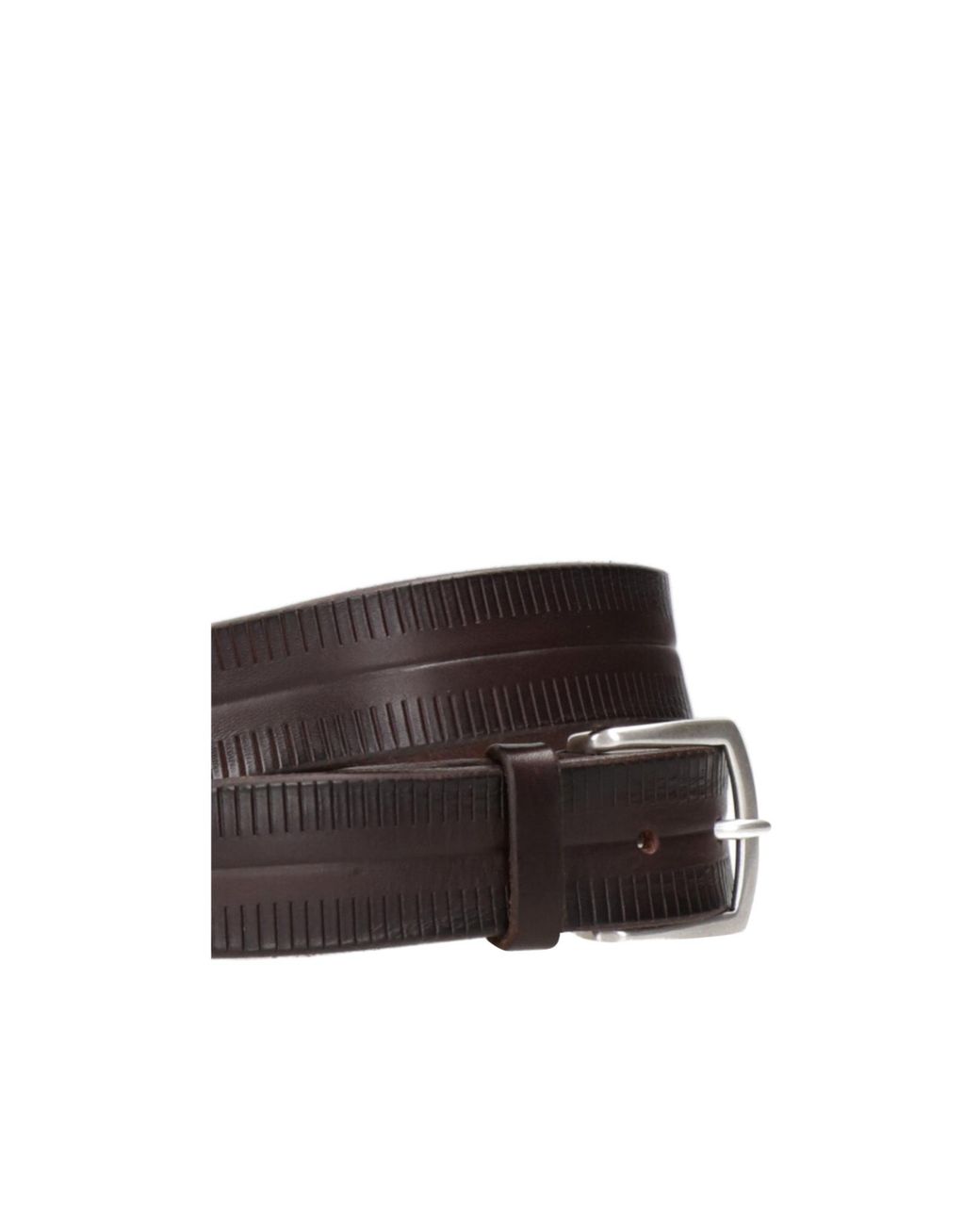 Orciani Brown Bull Soft Belt for men