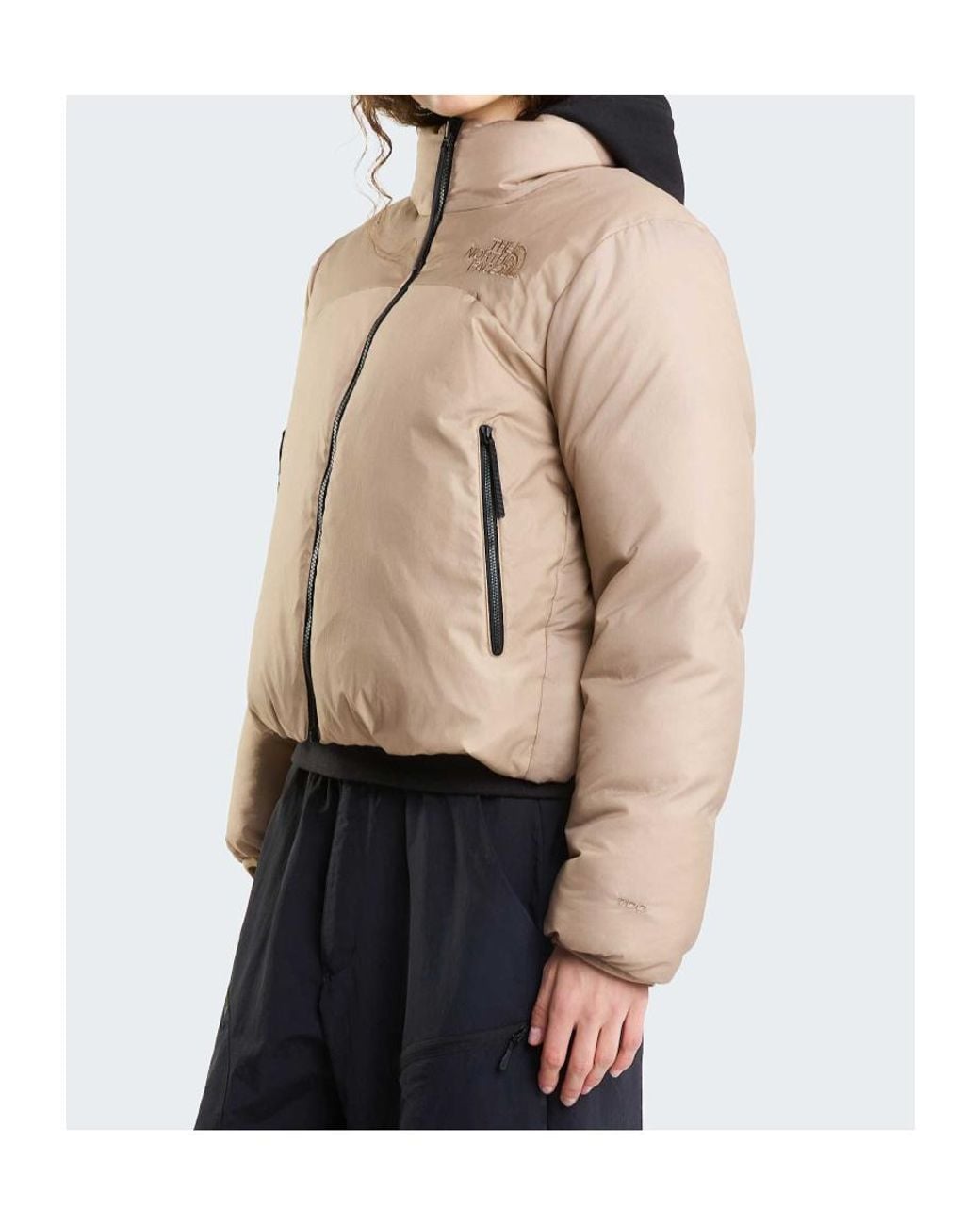 The North Face Natural Colorblock Down Jacket