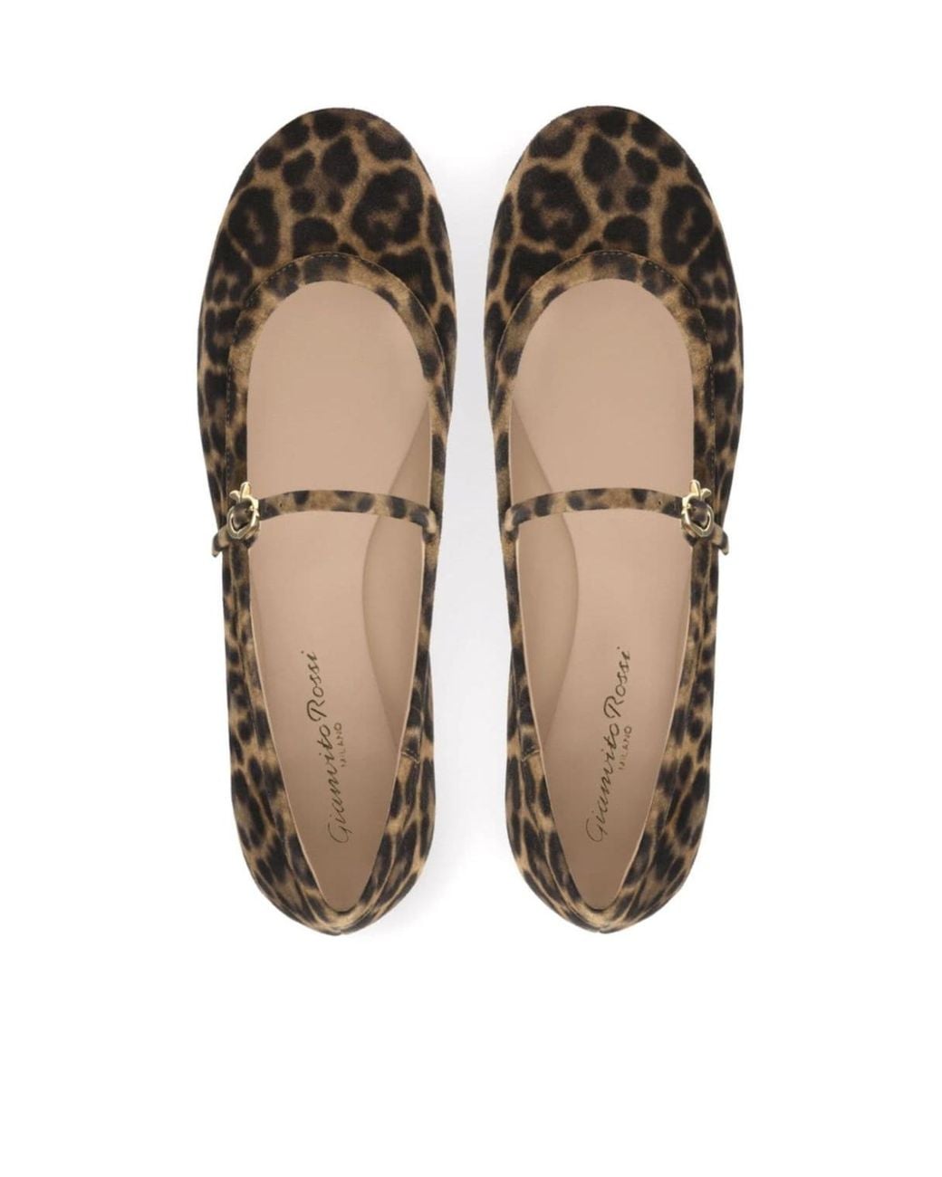 Gianvito Rossi Brown Carla Leopard-Pattern Buckle-Strap Ballerina Shoes