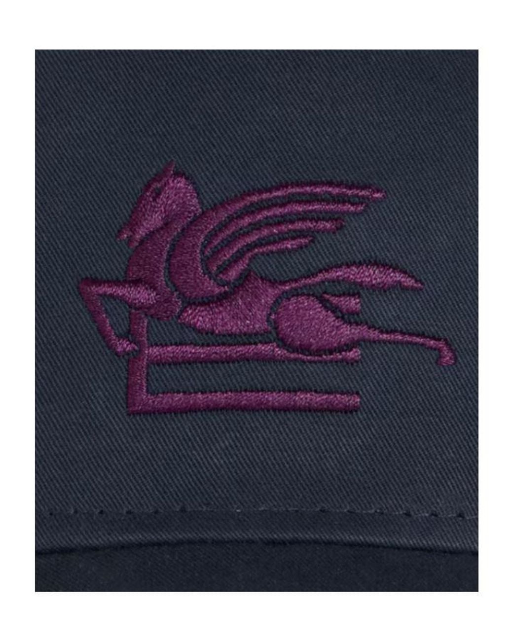 Etro Blue Pegaso Embroidered Baseball Hat for men