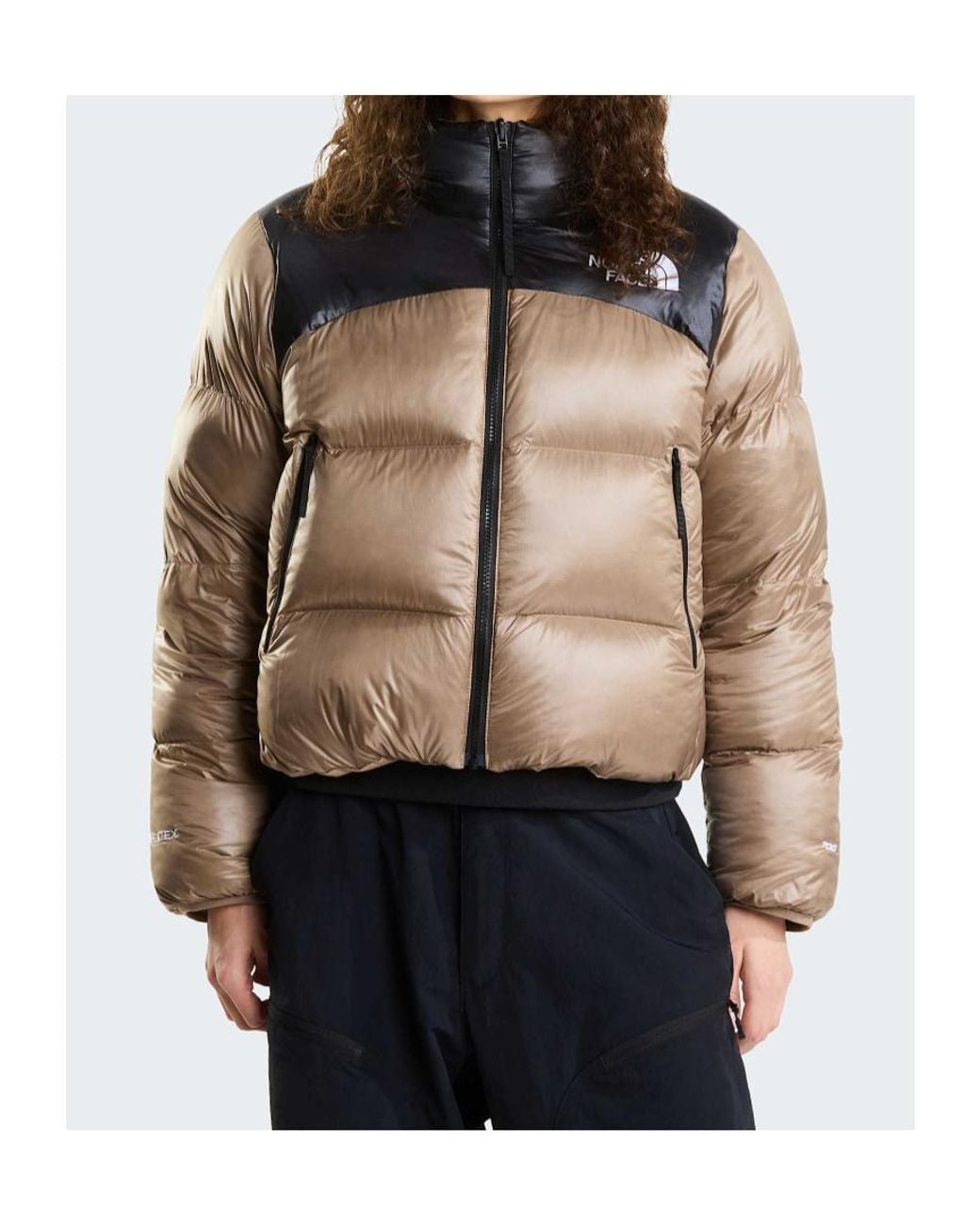 The North Face Natural Colorblock Down Jacket