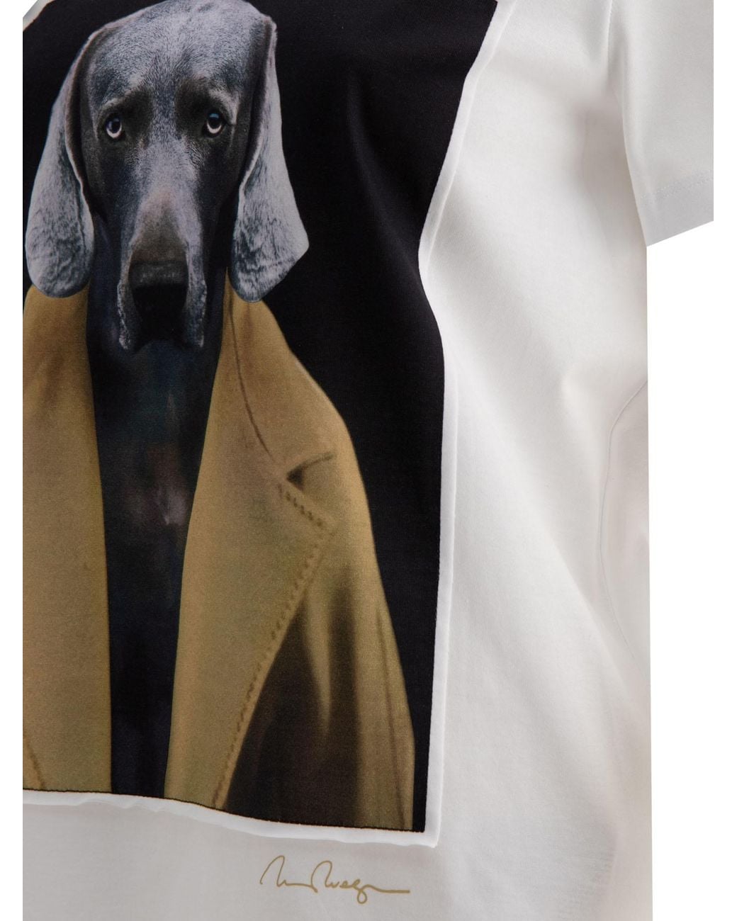 Max Mara White Cipria Graphic Printed Crewneck T-Shirt