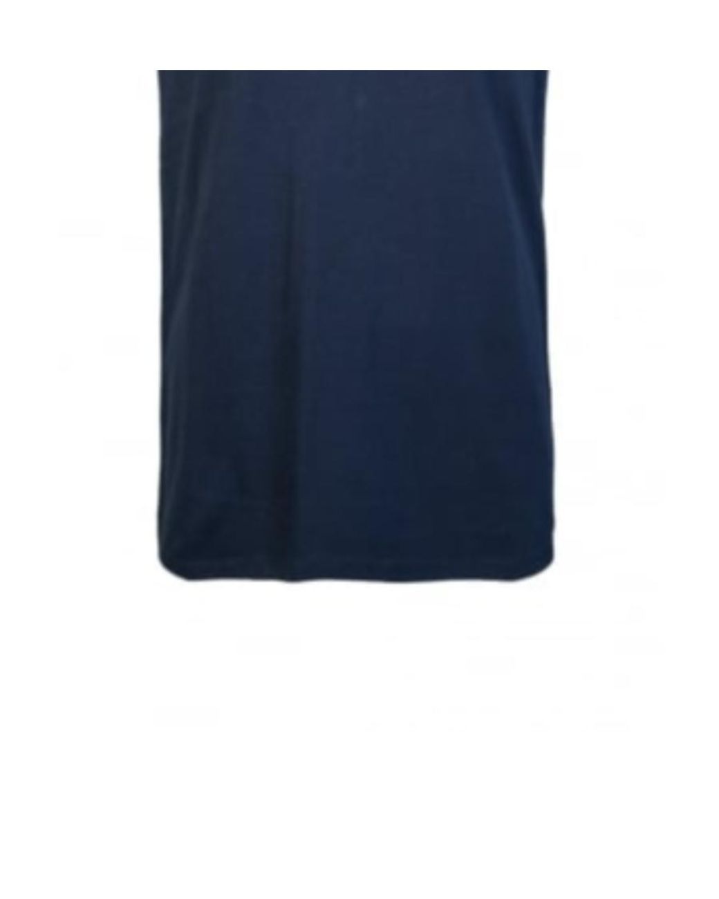 Armani Jeans Blue Logo T-Shirt for men