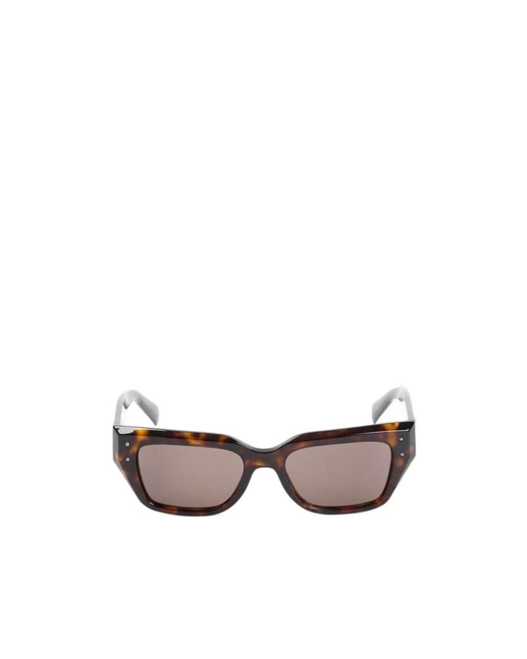 Dolce & Gabbana Multicolor Eyewear Cat-Eye Sunglasses