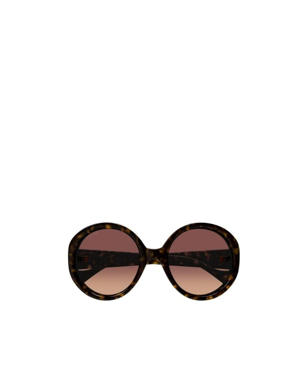 Gucci Multicolor Eyewear Oversized Round-Frame Sunglasses